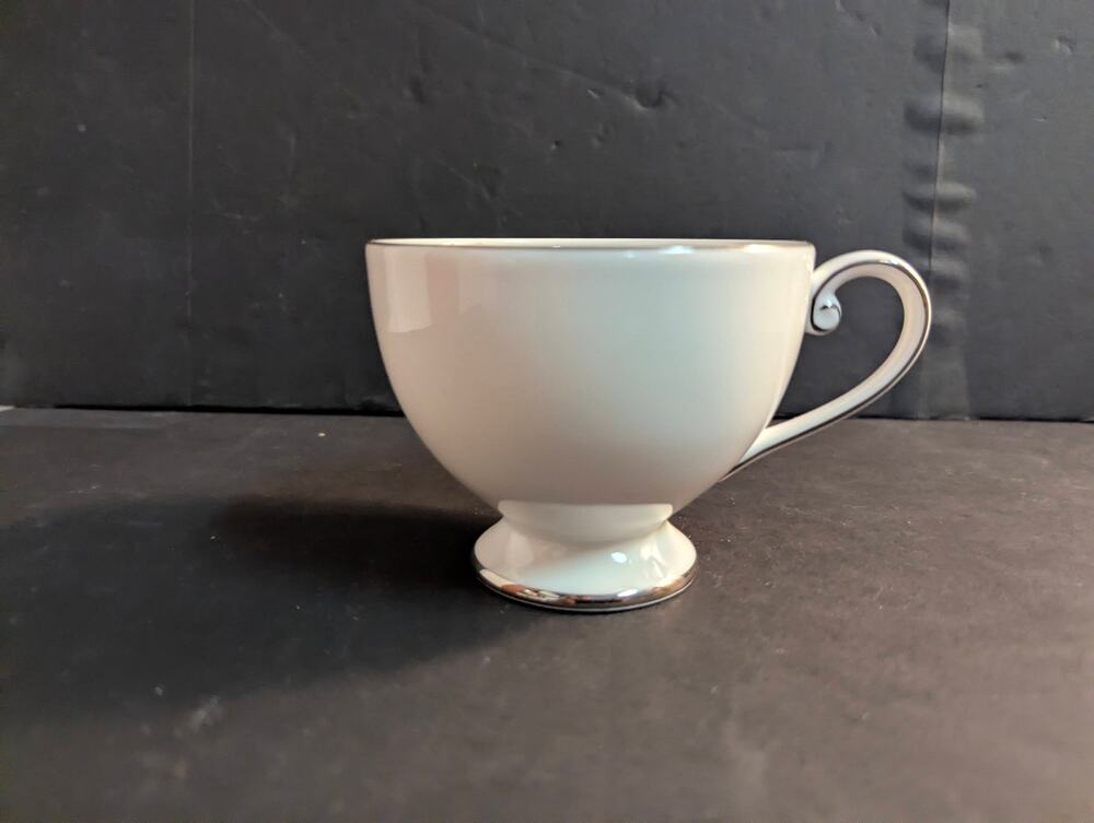 Mikasa Ultima Cameo Platinum Teacup Fine China Platinum Trim HK 301